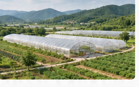 现代农业种植基地